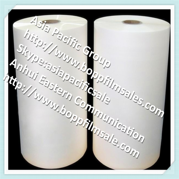 KPET (BOPET film, coated on both sides heat sealing barrier PVDC coating)